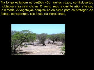 Na longa estiagem os sertões são, muitas vezes, semi-desertos
nublados mas sem chuva. O vento seco e quente não refresca,
incomoda. A vegetação adaptou-se ao clima para se proteger. As
folhas, por exemplo, são finas, ou inexistentes.
 