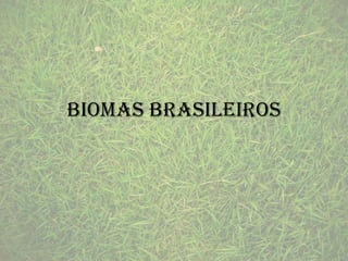 Biomas Brasileiros

 