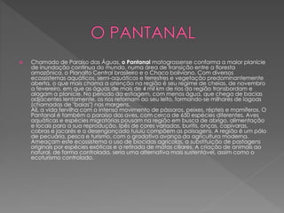  Chamado de Paraíso das Águas, o Pantanal matogrossense conforma a maior planície 
de inundação contínua do mundo, numa área de transição entre a floresta 
amazônica, o Planalto Central brasileiro e o Chaco boliviano. Com diversos 
ecossistemas aquáticos, semi-aquáticos e terrestres e vegetação predominantemente 
aberta, o que mais chama a atenção na região é seu regime de cheias, de novembro 
a fevereiro, em que as águas de mais de 4 mil km de rios da região transbordam e 
alagam a planície. No período da estiagem, com menos água, que chega de bacias 
adjacentes lentamente, os rios retornam ao seu leito, formando-se milhares de lagoas 
(chamadas de "baías") nas margens. 
Ali, a vida fervilha com o intenso movimento de pássaros, peixes, répteis e mamíferos. O 
Pantanal é também o paraíso das aves, com cerca de 650 espécies diferentes. Aves 
aquáticas e espécies migratórias pousam na região em busca de abrigo, alimentação 
e locais para a sua reprodução. Ipês de cores variadas, buritis, onças, capivaras, 
cobras e jacarés e o desengonçado tuiuiú compõem as paisagens. A região é um pólo 
de pecuária, pesca e turismo, com o gradativo avanço da agricultura moderna. 
Ameaçam este ecossistema o uso de biocidas agrícolas, a substituição de pastagens 
originais por espécies exóticas e a retirada de matas ciliares. A criação de animais ao 
natural, de forma controlada, seria uma alternativa mais sustentável, assim como o 
ecoturismo controlado. 
 