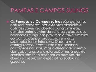  Os Pampas ou Campos sulinos são conjuntos 
naturais formados por extensas planícies e 
colinas suaves recobertas por gramíneas, 
varridas pelos ventos do sul e associadas aos 
banhados e lagunas próximas à faixa costeira 
ou pontuadas por araucárias e matas 
subtropicais nos interiores. Dada a sua 
configuração, constituem excepcionais 
pastagens naturais, mas o desaparecimento 
das coberturas e a exploração nas áreas de 
arenitos têm feito avançar os campos de 
dunas e areais, em especial no sudoeste 
gaúcho. 
