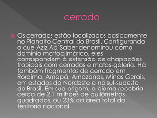  Os cerrados estão localizados basicamente 
no Planalto Central do Brasil. Configurando 
o que Aziz Ab´Saber denominou como 
domínio morfoclimático, eles 
correspondem à extensão de chapadões 
tropicais com cerrados e matas-galeria. Há 
também fragmentos de cerrado em 
Roraima, Amapá, Amazonas, Minas Gerais, 
em estados do Nordeste e no sul-sudeste 
do Brasil. Em sua origem, o bioma recobria 
cerca de 2,1 milhões de quilômetros 
quadrados, ou 23% da área total do 
território nacional. 
 