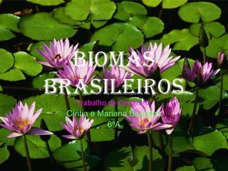 Biomas
BrasileirosTrabalho de Geografia
Cíntia e Mariana Barcelos
6ºA
 