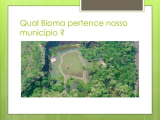 Qual Bioma pertence nosso
município ?

 