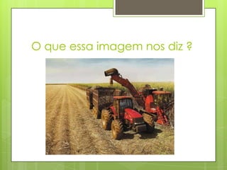 O que essa imagem nos diz ?

 