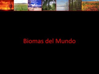 Biomas del Mundo
 