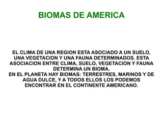 BIOMAS DE AMERICA
EL CLIMA DE UNA REGION ESTA ASOCIADO A UN SUELO,
UNA VEGETACION Y UNA FAUNA DETERMINADOS. ESTA
ASOCIACION ENTRE CLIMA, SUELO, VEGETACION Y FAUNA
DETERMINA UN BIOMA.
EN EL PLANETA HAY BIOMAS: TERRESTRES, MARINOS Y DE
AGUA DULCE, Y A TODOS ELLOS LOS PODEMOS
ENCONTRAR EN EL CONTINENTE AMERICANO.
 