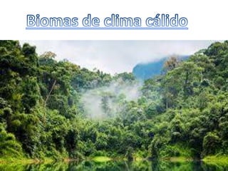 Biomas de américa