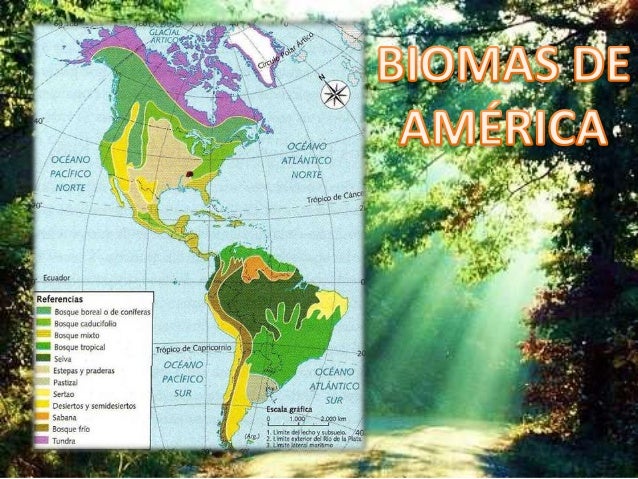 Biomas de américa