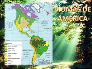 Biomas de américa