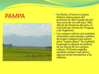 PAMPA  En Brasil, el bioma Campos
Sulinos abarca parte del
territorio de Rio Grande do Sul.
Son cerca de 170 mil km2. Más
allá de las fronteras del país, se
extiende por tierras de Uruguay
y de Argentina.
 Los campos sulinos son también
conocidos como pampa, palabra
de origen indígena que quiere
decir “región plana”. En realidad,
la pampa es apenas un pedazo
de las tierras de los campos
sulinos. El bioma engloba
también campos más altos y
algunas áreas semejantes a las
sabanas.
 