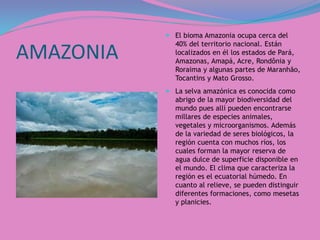 AMAZONIA
 El bioma Amazonia ocupa cerca del
40% del territorio nacional. Están
localizados en él los estados de Pará,
Amazonas, Amapá, Acre, Rondônia y
Roraima y algunas partes de Maranhão,
Tocantins y Mato Grosso.
 La selva amazónica es conocida como
abrigo de la mayor biodiversidad del
mundo pues allí pueden encontrarse
millares de especies animales,
vegetales y microorganismos. Además
de la variedad de seres biológicos, la
región cuenta con muchos ríos, los
cuales forman la mayor reserva de
agua dulce de superficie disponible en
el mundo. El clima que caracteriza la
región es el ecuatorial húmedo. En
cuanto al relieve, se pueden distinguir
diferentes formaciones, como mesetas
y planicies.
 