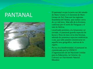 PANTANAL
 El pantanal ocupa la parte sur del estado
de Mato Grosso y el noroeste de Mato
Grosso do Sul. Esas son las regiones
brasileñas del bioma, que suman cerca
de 137 mil km2. Más allá de la frontera,
continúa por el norte de Paraguay y el
este de Bolivia.
 Localizado próximo a la Amazonia y al
cerrado, el pantanal guarda especies de
fauna y flora de esos otros dos biomas,
además de presentar especies endémicas,
o sea, que sólo pueden encontrarse en
aquella área geográfica, nativas de la
región.
 Por su rica biodiversidad, el pantanal es
considerado por la UNESCO
(Organización de las Naciones Unidas
para la Educación, la Ciencia y la
Cultura) un Patrimonio Natural
Mundial.
 