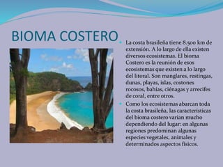 BIOMA COSTERO La costa brasileña tiene 8.500 km de
extensión. A lo largo de ella existen
diversos ecosistemas. El bioma
Costero es la reunión de esos
ecosistemas que existen a lo largo
del litoral. Son manglares, restingas,
dunas, playas, islas, costones
rocosos, bahías, ciénagas y arrecifes
de coral, entre otros.
 Como los ecosistemas abarcan toda
la costa brasileña, las características
del bioma costero varían mucho
dependiendo del lugar: en algunas
regiones predominan algunas
especies vegetales, animales y
determinados aspectos físicos.
 