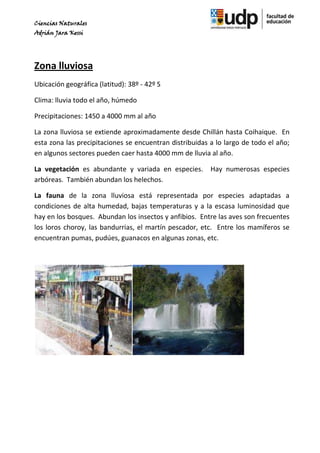Ciencias Naturales
Adrián Jara Kessi




Zona lluviosa
Ubicación geográfica (latitud): 38º - 42º S

Clima: lluvia todo el año, húmedo

Precipitaciones: 1450 a 4000 mm al año

La zona lluviosa se extiende aproximadamente desde Chillán hasta Coihaique. En
esta zona las precipitaciones se encuentran distribuidas a lo largo de todo el año;
en algunos sectores pueden caer hasta 4000 mm de lluvia al año.

La vegetación es abundante y variada en especies. Hay numerosas especies
arbóreas. También abundan los helechos.

La fauna de la zona lluviosa está representada por especies adaptadas a
condiciones de alta humedad, bajas temperaturas y a la escasa luminosidad que
hay en los bosques. Abundan los insectos y anfibios. Entre las aves son frecuentes
los loros choroy, las bandurrias, el martín pescador, etc. Entre los mamíferos se
encuentran pumas, pudúes, guanacos en algunas zonas, etc.
 