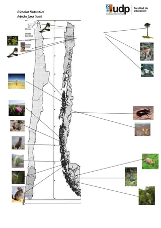 Ciencias Naturales
Adrián Jara Kessi




   3.
 