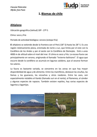 Ciencias Naturales
Adrián Jara Kessi

                               1. Biomas de chile


Altiplano
Ubicación geográfica (latitud) 18º - 27º S

Clima: seco y frio

Periodo de actividad biológica: verano (estepa fría)

El altiplano se extiende desde la frontera con el Perú (18° S) hasta los 28° S. Es una
región relativamente plana, orientada de norte a sur, que limita por el este con la
Cordillera de los Andes y por el oeste con la Cordillera de Domeyko. Está a unos
4000 m de altitud sobre el nivel del mar. El clima es seco y frío. La escasa lluvia cae
principalmente en verano, originando el llamado “invierno boliviano”. El agua que
escurre desde la cordillera se acumula en lagunas salobres, que al secarse forman
los salares.

La fauna es bastante variada, se concentra en las zonas en que hay mayor
disponibilidad de agua y de alimento. Entre los mamíferos, destacan las vicuñas, las
llamas y los guanacos, las vizcachas y otros roedores. Entre las aves, son
especialmente notables el ñandú (llamado suri en el norte), el flamenco, el cóndor
y algunas especies de rapaces. También existen reptiles, hay varias especies de
lagartos y lagartijas.
 