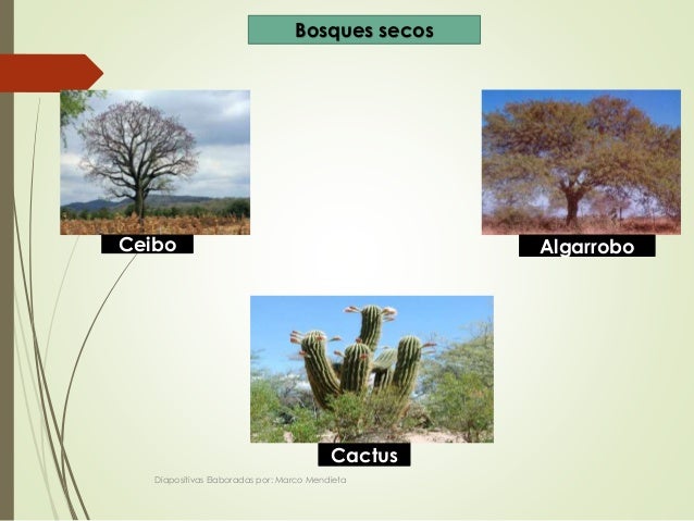 Biomas del ecuador