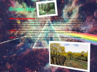 Bosque seco:
• Ubicación geográfica: El bosque seco puede ser encontrado entre las selvas lluviosas y
los desiertos. El Gran Chaco de Bolivia o la Selva Lacandona que se encuentra en el sur de México
son dos ejemplos muy claro de esto. En otros países como Ecuador y Perú podemos encontrar el
Bosque seco ecuatorial, mientras que en África vamos a encontrar el gran Bosque seco de
Madagascar, entre otros.
• Clima: Tiene un clima cálido durante casi todo el año y las temperaturas suelen rondar los 25 y 30
ºC. Las lluvia son un poco abundantes durante el invierno, pero durante el resto del año casi no se
registran grandes precipitaciones.
• Flora: En gran cantidad de estos bosques se encuentran árboles principalmente caducifolios,
como son por ejemplo la teca y la uña de vaca, los cuales pierden sus hojas durante las estaciones
de sequía y las recuperan tiempo después.
 