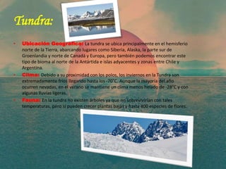 Tundra:
• Ubicación Geográfica: La tundra se ubica principalmente en el hemisferio
norte de la Tierra, abarcando lugares como Siberia, Alaska, la parte sur de
Groenlandia y norte de Canadá y Europa, pero también podemos encontrar este
tipo de bioma al norte de la Antártida e islas adyacentes y zonas entre Chile y
Argentina.
• Clima: Debido a su proximidad con los polos, los inviernos en la Tundra son
extremadamente fríos llegando hasta los -70°C. Aunque la mayoría del año
ocurren nevadas, en el verano se mantiene un clima menos helado de -28°C y con
algunas lluvias ligeras.
• Fauna: En la tundra no existen árboles ya que no sobrevivirían con tales
temperaturas, pero sí pueden crecer plantas bajas y hasta 400 especies de flores.
 