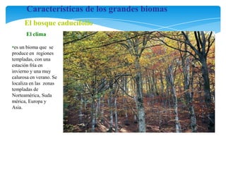BIOMAS DEL MUNDO .pdf AMBIENTAL DE LA EDUCACION | PDF