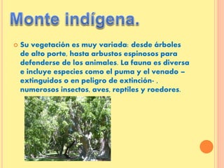  Su vegetación es muy variada: desde árboles
de alto porte, hasta arbustos espinosos para
defenderse de los animales. La fauna es diversa
e incluye especies como el puma y el venado –
extinguidos o en peligro de extinción- ,
numerosos insectos, aves, reptiles y roedores.
 