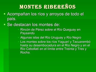 Montes ribereños   Acompañan los ríos y arroyos de todo el país.  Se destacan los montes de:  Rincón de Pérez sobre el Río Queguay en Paysandú Algunas islas del Río Uruguay y Río Negro Los montes sobre los ríos Yaguarí y Tacuarembó hasta su desembocadura en el Río Negro y en el Río Cebollatí en el límite entre Treinta y Tres y Rocha .  