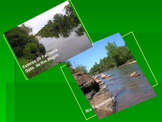 Esteros de Farrapos Dpto. de Río Negro   Río Tacuarembó   