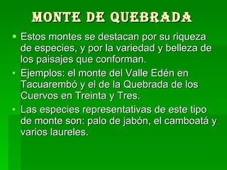 Monte de quebrada   Estos montes se destacan por su riqueza de especies, y por la variedad y belleza de los paisajes que conforman.  Ejemplos: el monte del Valle Edén en Tacuarembó y el de la Quebrada de los Cuervos en Treinta y Tres.  Las especies representativas de este tipo de monte son: palo de jabón, el camboatá y varios laureles.  