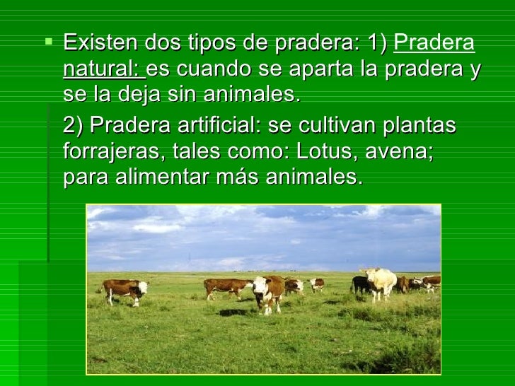 Biomas del uruguay Biomas del uruguay