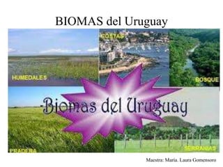 BIOMAS del Uruguay
Maestra: María. Laura Gomensoro
 