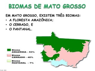 Biomas de Mato Grosso para alunos do ensino fundamental | PPTX