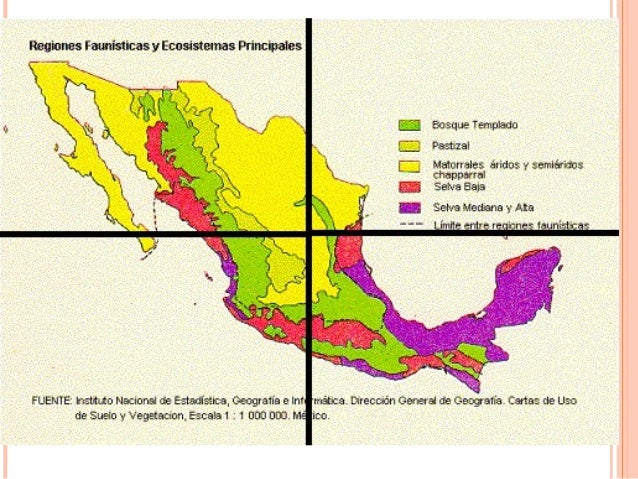 Biomas de México