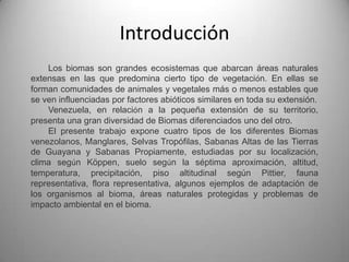 Introducción
    Los biomas son grandes ecosistemas que abarcan áreas naturales
extensas en las que predomina cierto tipo de vegetación. En ellas se
forman comunidades de animales y vegetales más o menos estables que
se ven influenciadas por factores abióticos similares en toda su extensión.
    Venezuela, en relación a la pequeña extensión de su territorio,
presenta una gran diversidad de Biomas diferenciados uno del otro.
    El presente trabajo expone cuatro tipos de los diferentes Biomas
venezolanos, Manglares, Selvas Tropófilas, Sabanas Altas de las Tierras
de Guayana y Sabanas Propiamente, estudiadas por su localización,
clima según Köppen, suelo según la séptima aproximación, altitud,
temperatura, precipitación, piso altitudinal según Pittier, fauna
representativa, flora representativa, algunos ejemplos de adaptación de
los organismos al bioma, áreas naturales protegidas y problemas de
impacto ambiental en el bioma.
 