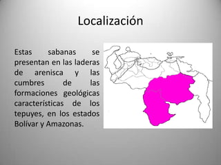 Localización

Estas     sabanas     se
presentan en las laderas
de arenisca y las
cumbres        de    las
formaciones geológicas
características de los
tepuyes, en los estados
Bolívar y Amazonas.
 