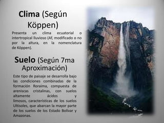 Clima (Según
       Köppen)
Presenta un clima ecuatorial o
intertropical lluvioso (Af, modificado o no
por la altura, en la nomenclatura
de Köppen).


 Suelo (Según 7ma
      Aproximación)
Este tipo de paisaje se desarrolla bajo
las condiciones combinadas de la
formación Roraima, compuesta de
areniscas cristalinas, con suelos
altamente            ácidos           y
limosos, características de los suelos
Ultisoles, que abarcan la mayor parte
de los suelos de los Estado Bolívar y
Amazonas.
 
