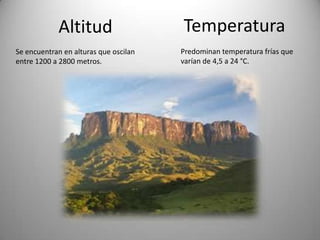 Altitud                    Temperatura
Se encuentran en alturas que oscilan   Predominan temperatura frías que
entre 1200 a 2800 metros.              varían de 4,5 a 24 °C.
 