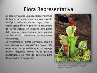Flora Representativa
Se caracteriza por una aparición endémica
de fauna (un endemismo es una especie
biológica exclusiva de un lugar, área o
región geográfica, y que no se encuentra
de forma natural en ninguna otra parte
del mundo), caracterizada por plantas
carnívoras, así como numerosas orquídeas
y bromelias.
La heliámphora (planta carnívora, atrae a
los Insectos con sus vistosas hojas. Esta
especie es tan primitiva que no segrega
enzima digestiva (como otras plantas
insectívoras). Se vale de bacterias para
descomponer a sus presas.

                                            Heliamphora chimantensis, planta carnívora
                                            descubierta en el año 2001, en el tepuy de
                                            Chimantá, Venezuela.
 