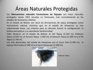 Áreas Naturales Protegidas
Los Monumentos naturales Formaciones de Tepuyes son áreas naturales
protegidas desde 1991 situadas en Venezuela, más concretamente en los
estados de Amazonas y Bolívar.
En el estado de Bolívar son doce las formaciones de tepuy protegidas como
monumento natural, mientras que en el estado de Amazonas se han
seleccionado trece. Los criterios para su elección fueron la configuración, la
belleza paisajística y su abundante biodiversidad.
Cabe destacar, en el estado de Bolívar, el Uei Tepuy (2.150 m), Kukenan
Tepuy (2.650 m), el Yuruani Tepuy 2.400 m), el Karaurín Tepuy (2.500 m) y el Ilú
Tepuy (2.700 m).
Los más destacados del estado de Amazonas son el Cerro Yaví (2.300 m), el
macizo Parú Euaia (2.200 m) y el cerro Tamacuair (2.300 m).



                                                     Kukenan Tepuy
 