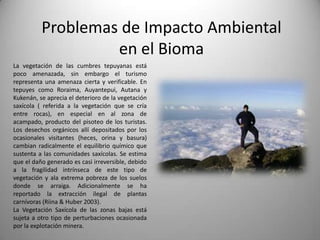Problemas de Impacto Ambiental
                   en el Bioma
La vegetación de las cumbres tepuyanas está
poco amenazada, sin embargo el turismo
representa una amenaza cierta y verificable. En
tepuyes como Roraima, Auyantepui, Autana y
Kukenán, se aprecia el deterioro de la vegetación
saxícola ( referida a la vegetación que se cría
entre rocas), en especial en al zona de
acampado, producto del pisoteo de los turistas.
Los desechos orgánicos allí depositados por los
ocasionales visitantes (heces, orina y basura)
cambian radicalmente el equilibrio químico que
sustenta a las comunidades saxícolas. Se estima
que el daño generado es casi irreversible, debido
a la fragilidad intrínseca de este tipo de
vegetación y ala extrema pobreza de los suelos
donde se arraiga. Adicionalmente se ha
reportado la extracción ilegal de plantas
carnívoras (Riina & Huber 2003).
La Vegetación Saxícola de las zonas bajas está
sujeta a otro tipo de perturbaciones ocasionada
por la explotación minera.
 