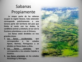 Sabanas
         Propiamente
     La mayor parte de las sabanas
ocupan la región llanera. Esta extensión
corresponde prácticamente a una
tercera parte del territorio del país que
limita al norte con los Andes, la
cordillera central y oriental y al sur con la
frontera colombiana y con el Orinoco.
     Los llanos están divididos en tres
grandes áreas:
1. Los      llanos    occidentales,      que
    corresponden       a    los      estados
    Apure, Barinas, Portuguesa y se
    dividen en llanos bajos y altos.
2. Los        llanos     centrales,      que
    corresponden a los estados Cojedes y
    Guárico.
3. Los llanos orientales en los estados
    Anzoátegui y Monagas.
 