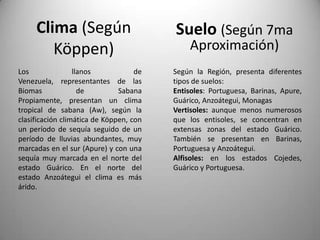 Clima (Según                        Suelo (Según 7ma
        Köppen)                              Aproximación)
Los               llanos            de   Según la Región, presenta diferentes
Venezuela, representantes de las         tipos de suelos:
Biomas              de         Sabana    Entisoles: Portuguesa, Barinas, Apure,
Propiamente, presentan un clima          Guárico, Anzoátegui, Monagas
tropical de sabana (Aw), según la        Vertisoles: aunque menos numerosos
clasificación climática de Köppen, con   que los entisoles, se concentran en
un período de sequía seguido de un       extensas zonas del estado Guárico.
período de lluvias abundantes, muy       También se presentan en Barinas,
marcadas en el sur (Apure) y con una     Portuguesa y Anzoátegui.
sequía muy marcada en el norte del       Alfisoles: en los estados Cojedes,
estado Guárico. En el norte del          Guárico y Portuguesa.
estado Anzoátegui el clima es más
árido.
 