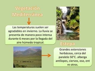 Las temperaturas suelen ser
agradables en invierno. La lluvia se
 presenta de manera poco intensa
durante 6 meses por la llegada del
      aire húmedo tropical.

                                          Grandes extensiones
                                          herbáceas, cerca del
                                         paralelo 50°C. alberga
                                       antílopes, ciervos, oso, ent
                                                re otros.
 