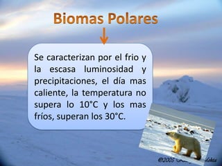 Se caracterizan por el frio y
la escasa luminosidad y
precipitaciones, el día mas
caliente, la temperatura no
supera lo 10°C y los mas
fríos, superan los 30°C.
 