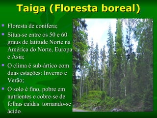 Taiga (Floresta boreal)
   Floresta de conífera;
   Situa-se entre os 50 e 60
    graus de latitude Norte na
    América do Norte, Europa
    e Ásia;
   O clima é sub-ártico com
    duas estações: Inverno e
    Verão;
   O solo é fino, pobre em
    nutrientes e cobre-se de
    folhas caídas tornando-se
    ácido
 