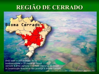 REGIÃO DE CERRADO
 