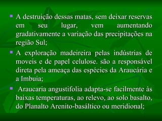    A destruição dessas matas, sem deixar reservas
    em      seu    lugar,     vem      aumentando
    gradativamente a variação das precipitações na
    região Sul;
   A exploração madeireira pelas indústrias de
    moveis e de papel celulose. são a responsável
    direta pela ameaça das espécies da Araucária e
    a Imbuia;
    Araucaria angustifolia adapta-se facilmente às
    baixas temperaturas, ao relevo, ao solo basalto,
    do Planalto Arenito-basáltico ou meridional;
 