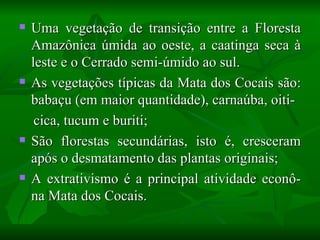    Uma vegetação de transição entre a Floresta
    Amazônica úmida ao oeste, a caatinga seca à
    leste e o Cerrado semi-úmido ao sul.
   As vegetações típicas da Mata dos Cocais são:
    babaçu (em maior quantidade), carnaúba, oiti-
     cica, tucum e buriti;
   São florestas secundárias, isto é, cresceram
    após o desmatamento das plantas originais;
   A extrativismo é a principal atividade econô-
    na Mata dos Cocais.
 
