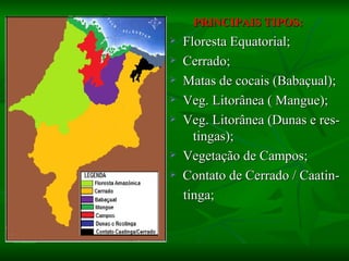 PRINCIPAIS TIPOS:
   Floresta Equatorial;
   Cerrado;
   Matas de cocais (Babaçual);
   Veg. Litorânea ( Mangue);
   Veg. Litorânea (Dunas e res-
      tingas);
   Vegetação de Campos;
   Contato de Cerrado / Caatin-
    tinga;
 