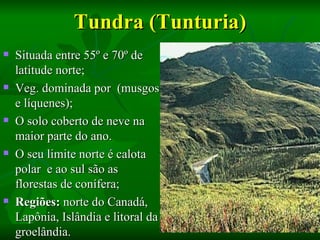 Tundra (Tunturia)
   Situada entre 55º e 70º de
    latitude norte;
   Veg. dominada por (musgos
    e líquenes);
   O solo coberto de neve na
    maior parte do ano.
   O seu limite norte é calota
    polar e ao sul são as
    florestas de conífera;
   Regiões: norte do Canadá,
    Lapônia, Islândia e litoral da
    groelândia.
 