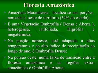 Floresta Amazônica
   Amazônia Maranhense, localiza-se nas porções
    noroeste e oeste do território (34% do estado);
   É uma Vegetação Ombrófila ( Densa e Aberta ),
    heterogênea,      latifoliada,    Higrófila     e
    megatérmica;
   Na porção noroeste, está adaptada a altas
    temperaturas e ao alto índice de precipitação ao
    longo de ano, é Ombrófila Densa;
   Na porção oeste, numa faixa de transição entre a
    floresta amazônica e as regiões extra-
    amazônicas é Ombrófila Aberta;
 